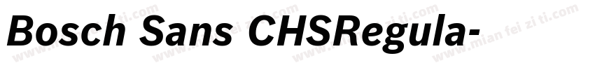 Bosch Sans CHSRegula字体转换